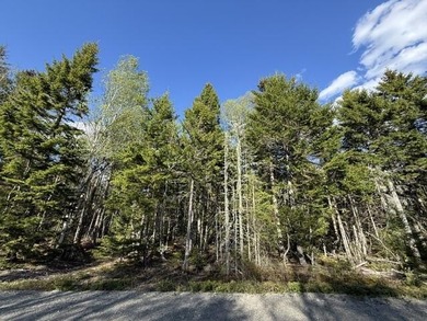 This perfectly situated 2+ acre lot couldn't be in a sweeter - photo 11