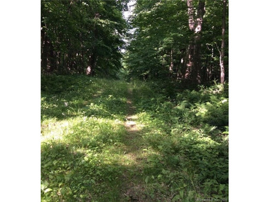 *POND RIDGE* Litchfield County CT Land for Sale: 118+- acres - photo 12