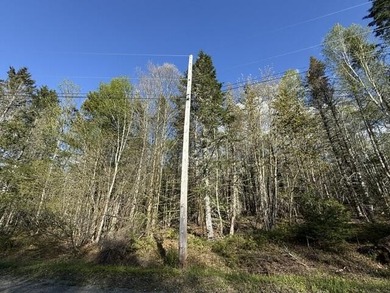 This perfectly situated 2+ acre lot couldn't be in a sweeter - photo 12
