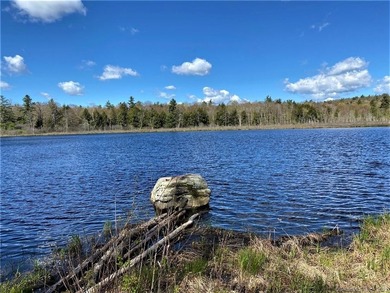 *POND RIDGE* Litchfield County CT Land for Sale: 118+- acres - photo 13