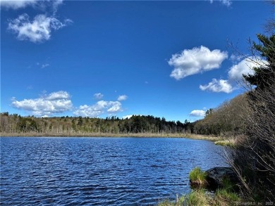 *POND RIDGE* Litchfield County CT Land for Sale: 118+- acres - photo 14