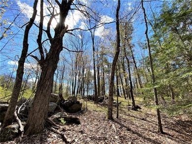 *POND RIDGE* Litchfield County CT Land for Sale: 118+- acres - photo 15