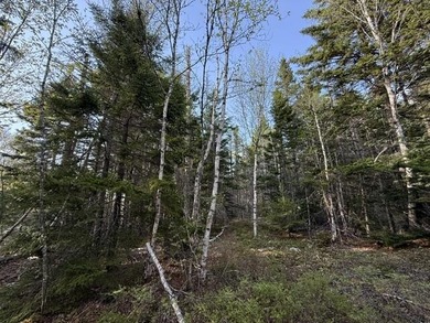 This perfectly situated 2+ acre lot couldn't be in a sweeter - photo 15
