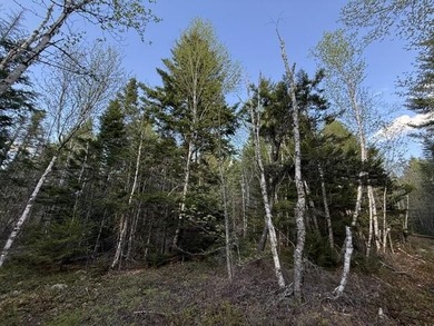 This perfectly situated 2+ acre lot couldn't be in a sweeter - photo 16