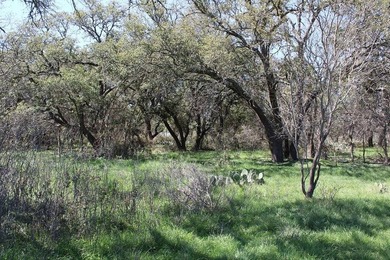 The Miller Ranch is located just outside of Brady, Texas. This - photo 18