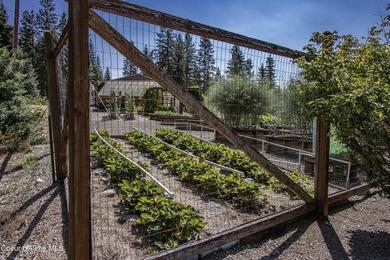 Situated on over 60 acres along the Clark Fork River-Noxon - photo 48