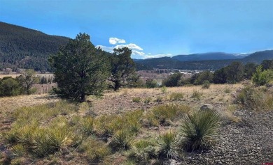 (private lake, pond, creek) Lot For Sale in South Fork Colorado