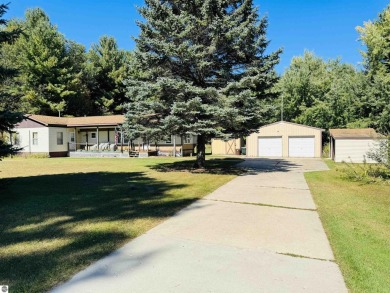 Lake Home For Sale in Lake City, Michigan