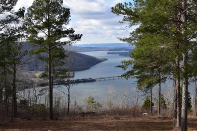 Welcome to this incredible Lot located in River Gorge Ranch- - photo 5