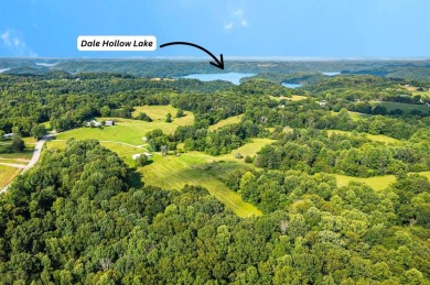 Lake Acreage For Sale in Allons, Tennessee