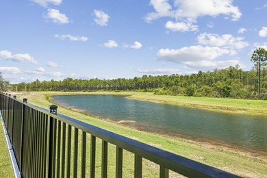 Behind the gates of Watersound Camp Creek, this newly - photo 48
