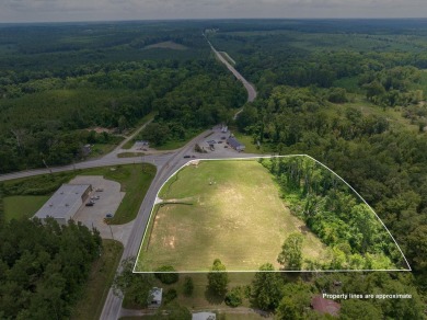 Lake Greenwood Commercial For Sale in Chappells South Carolina