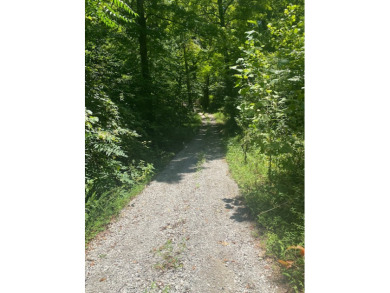 Build Your Dream Lake Home!!  Enjoy Community Lake Access - photo 8