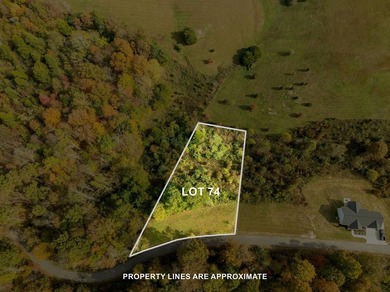 Dale Hollow Lake Lot For Sale in Byrdstown Tennessee