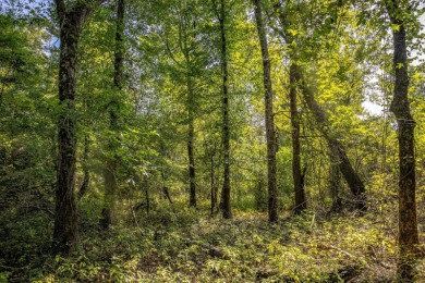 Imagine owning more than a mile of Big Black River frontage in - photo 11