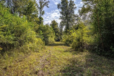 Imagine owning more than a mile of Big Black River frontage in - photo 12