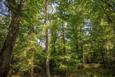 Imagine owning more than a mile of Big Black River frontage in - photo 13