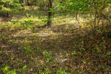 Imagine owning more than a mile of Big Black River frontage in - photo 14