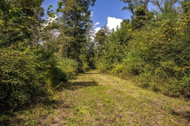 Imagine owning more than a mile of Big Black River frontage in - photo 15