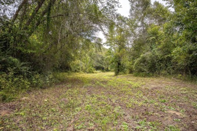 Imagine owning more than a mile of Big Black River frontage in - photo 16