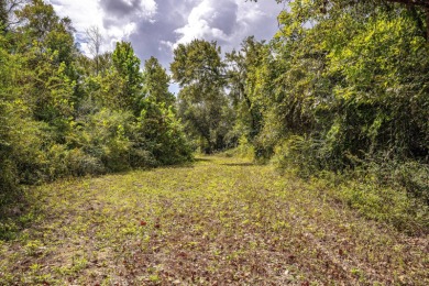 Imagine owning more than a mile of Big Black River frontage in - photo 17