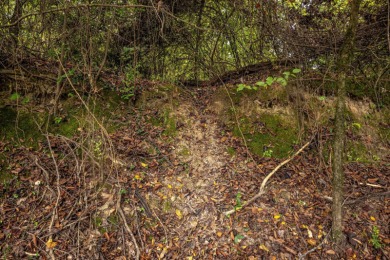Imagine owning more than a mile of Big Black River frontage in - photo 18