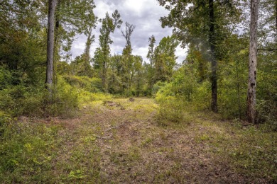 Imagine owning more than a mile of Big Black River frontage in - photo 19