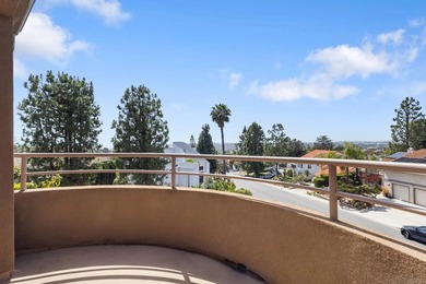 Exceptional custom contemporary estate in the heart of La Costa - photo 19
