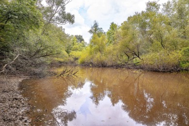 Imagine owning more than a mile of Big Black River frontage in - photo 20