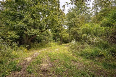 Imagine owning more than a mile of Big Black River frontage in - photo 23