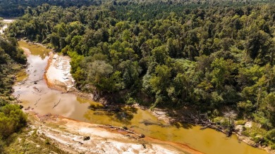 Imagine owning more than a mile of Big Black River frontage in - photo 25
