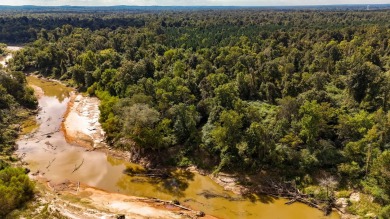 Imagine owning more than a mile of Big Black River frontage in - photo 26