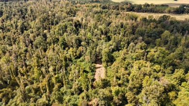 Imagine owning more than a mile of Big Black River frontage in - photo 28