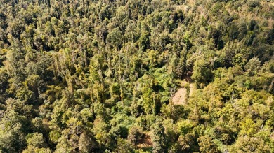 Imagine owning more than a mile of Big Black River frontage in - photo 29