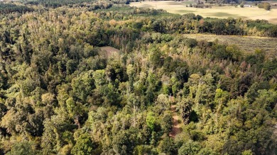 Imagine owning more than a mile of Big Black River frontage in - photo 30