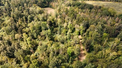 Imagine owning more than a mile of Big Black River frontage in - photo 31