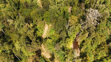 Imagine owning more than a mile of Big Black River frontage in - photo 35