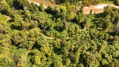 Imagine owning more than a mile of Big Black River frontage in - photo 37