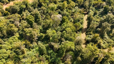 Imagine owning more than a mile of Big Black River frontage in - photo 38