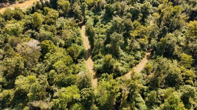 Imagine owning more than a mile of Big Black River frontage in - photo 39