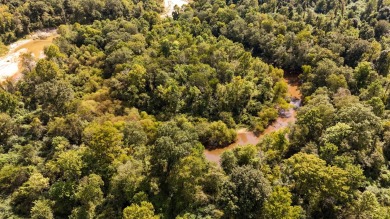 Imagine owning more than a mile of Big Black River frontage in - photo 40