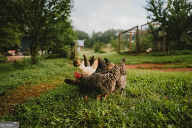Remarkable working farm (68+/-ac) with unique and unexpected - photo 41