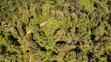 Imagine owning more than a mile of Big Black River frontage in - photo 43