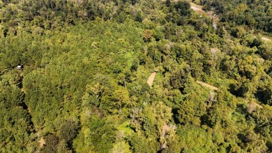 Imagine owning more than a mile of Big Black River frontage in - photo 44
