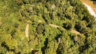 Imagine owning more than a mile of Big Black River frontage in - photo 45