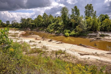 Imagine owning more than a mile of Big Black River frontage in - photo 47