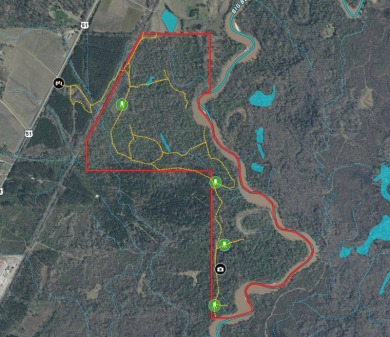 Imagine owning more than a mile of Big Black River frontage in - photo 48