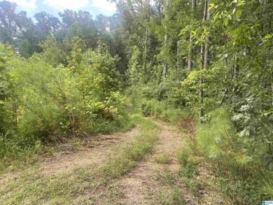 Lake Acreage For Sale in Mccalla, Alabama