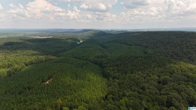 Discover the perfect blend of mountain living and community - photo 5