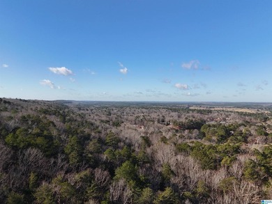 Discover the perfect blend of mountain living and community - photo 8